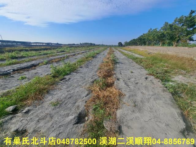 彰化溪州農地-3