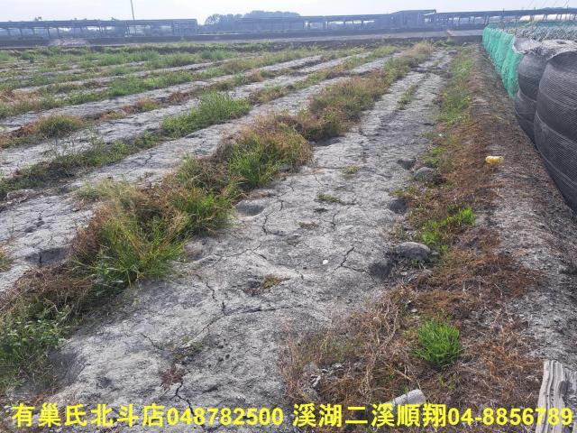 彰化溪州農地-5