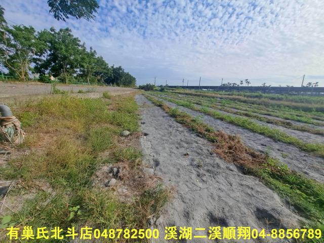 彰化溪州農地-6