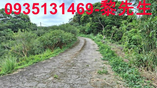 苗栗三灣農地-5