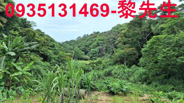 苗栗三灣農地-7