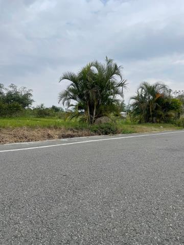 中埔農地-2