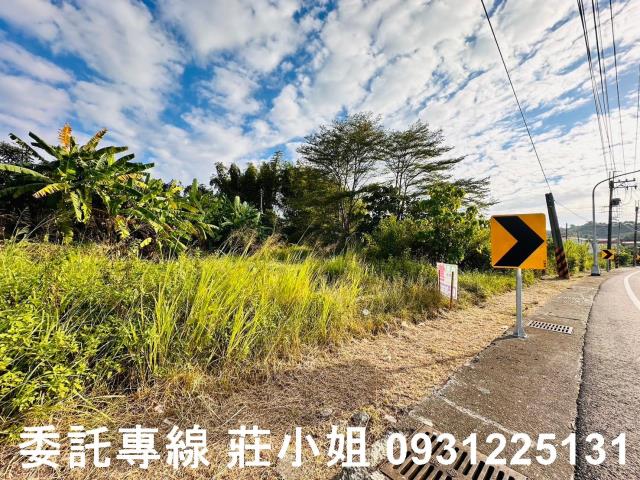 玉井農地-8