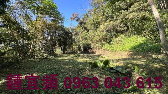 新竹農地-11