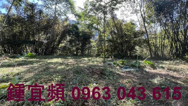 新竹農地-12