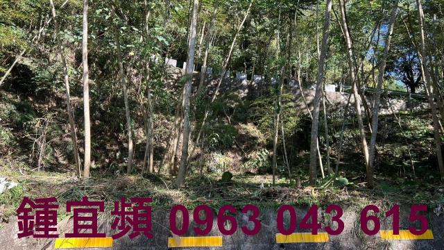新竹農地-2