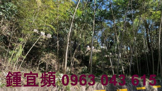 新竹農地-3