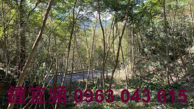 新竹農地-6
