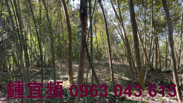 新竹農地-7