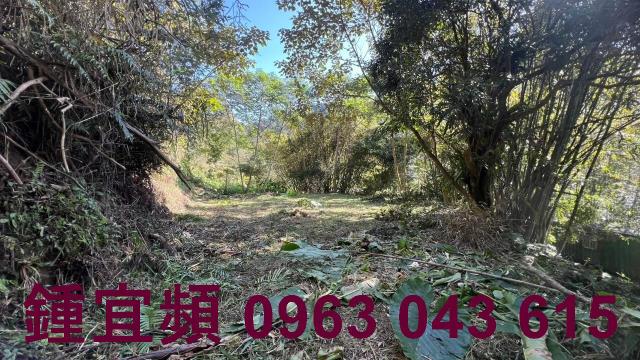 新竹農地-9