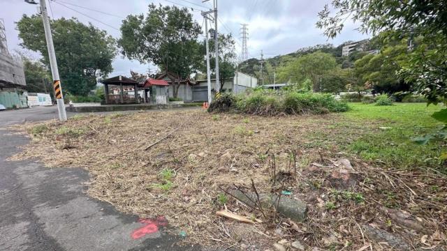 桃園建地-8