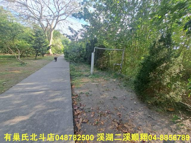 彰化溪州農地-10