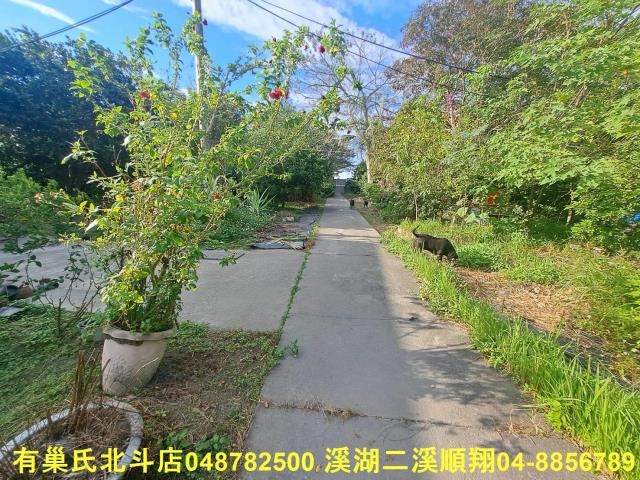 彰化溪州農地-1