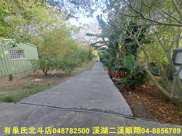 彰化溪州農地-9