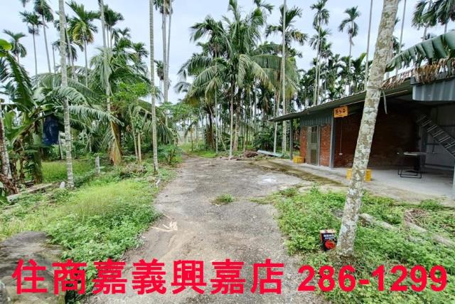 中埔農地-5