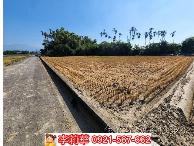 台南農地-3