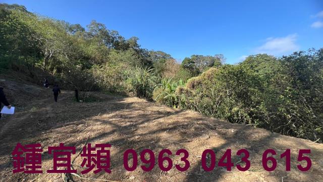 新竹農地-4
