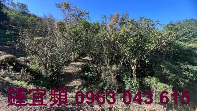 新竹農地-5