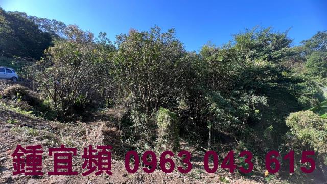 新竹農地-6