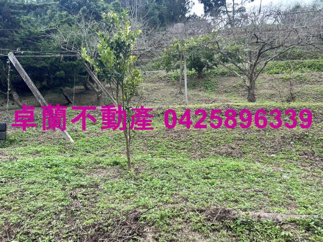 卓蘭農地-10