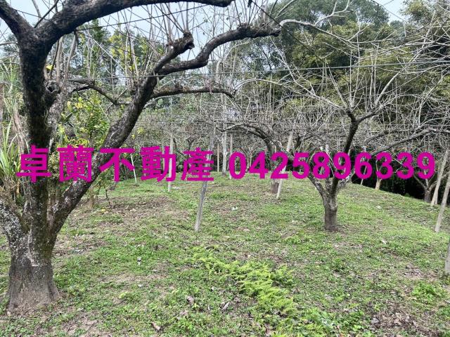 卓蘭農地-12