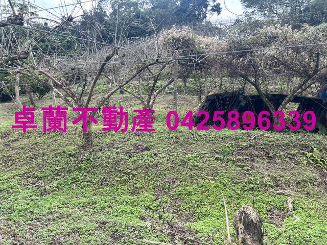 卓蘭農地-13