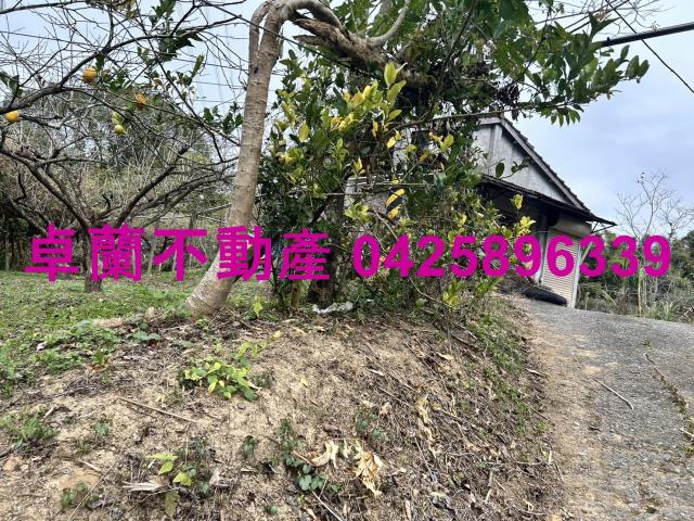 卓蘭農地-2