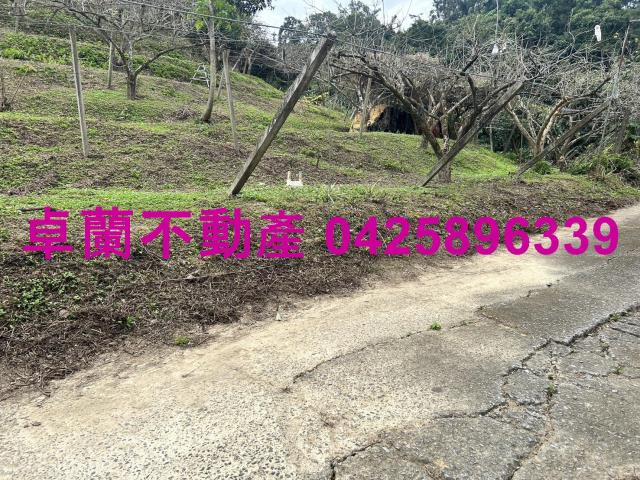 卓蘭農地-6