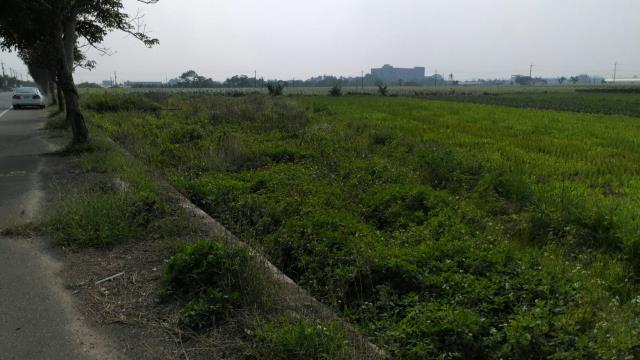 太保農地-6