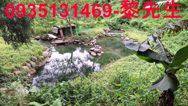 苗栗農地-11