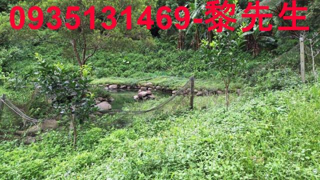 苗栗農地-9
