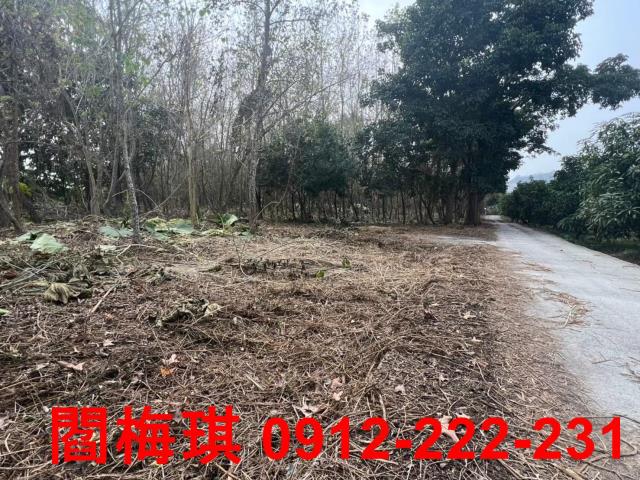 台南玉井農地-1