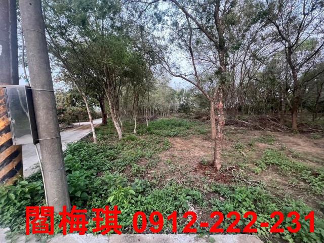 台南玉井農地-3