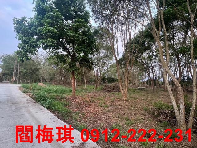 台南玉井農地-4