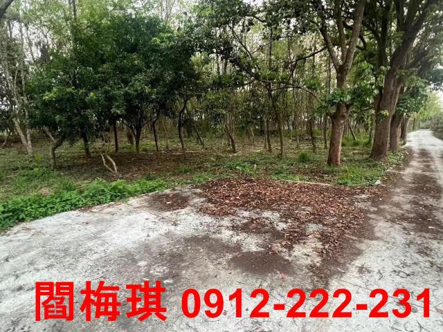 台南玉井農地-7