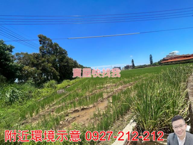 桃園新屋農地-6