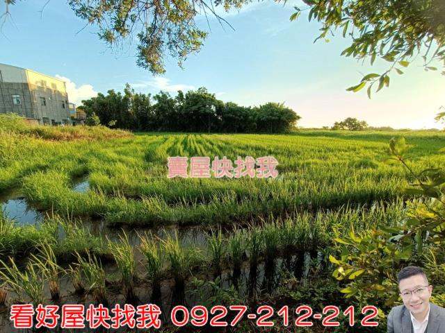 桃園新屋農地-7