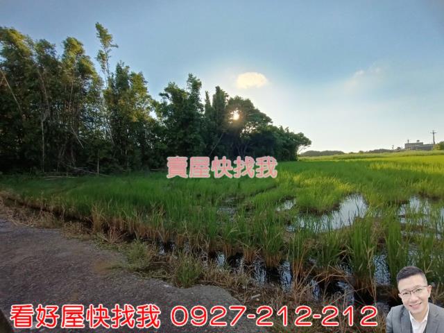 桃園新屋農地-8