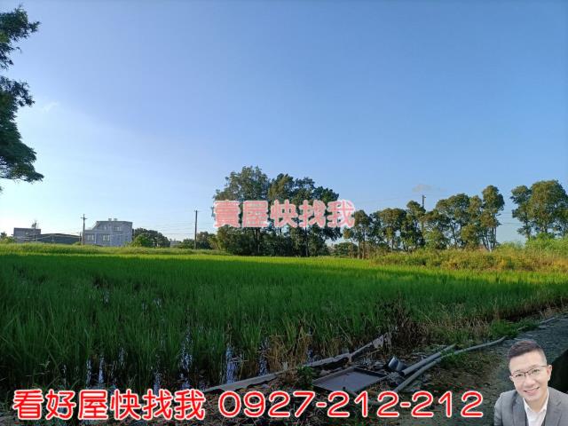 桃園新屋農地-5