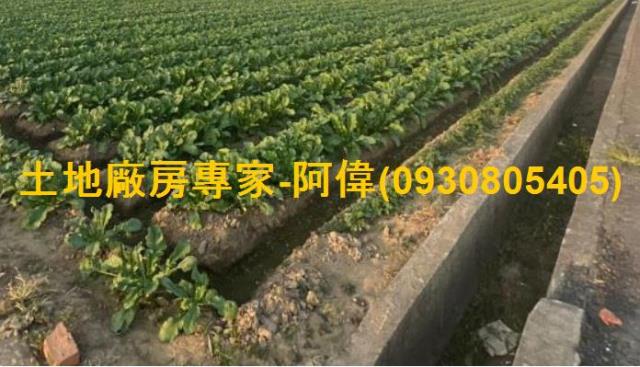 高雄大寮農地-1