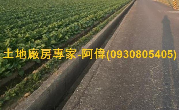 高雄大寮農地-1