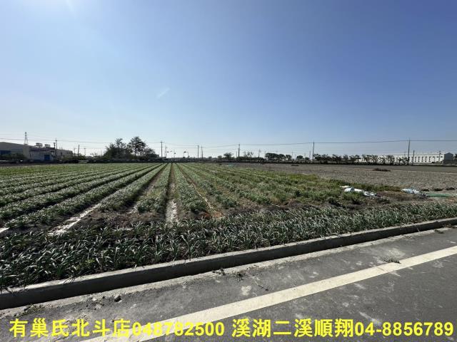 彰化埔鹽農地-3