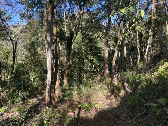 東勢山坡地-1