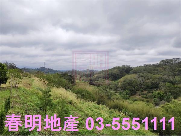 寶山農地-9