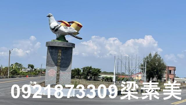 學甲農地-7