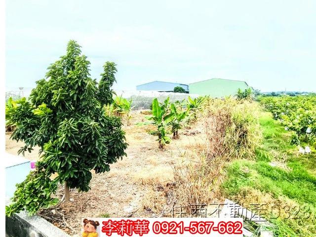 高雄農地-11