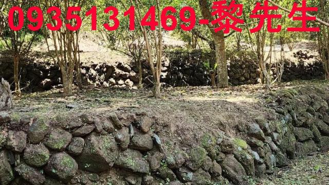 新竹農地-3