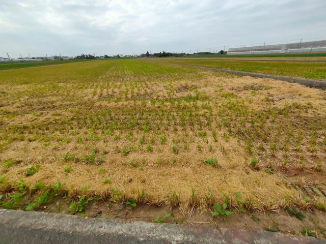 彰化農地-6