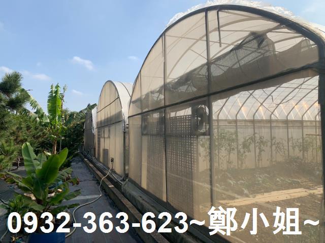 桃園中壢農地-6