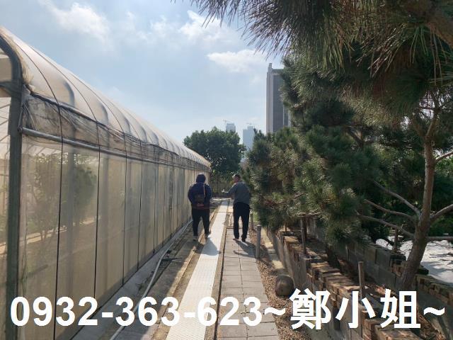 桃園中壢農地-7